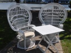 Peacock Chair