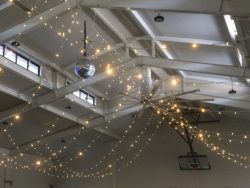 Fairy Lights