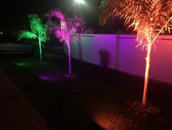 RGB Uplight