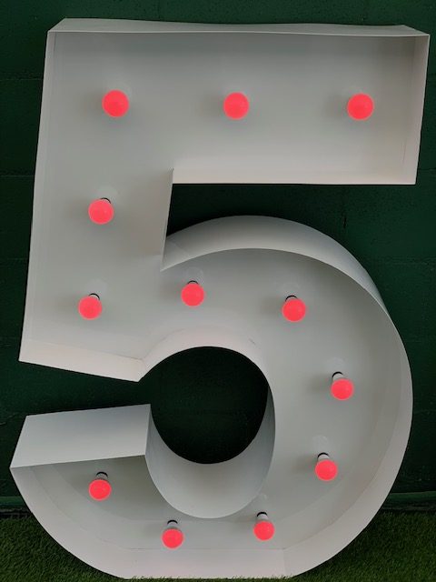 LED NUMBER 5