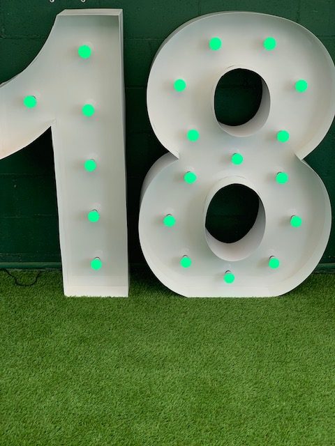 LED NUMBER 18