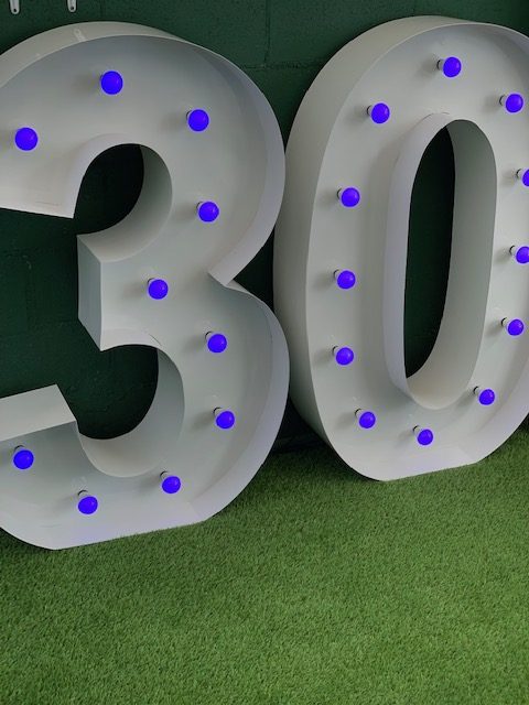 LED NUMBER 30