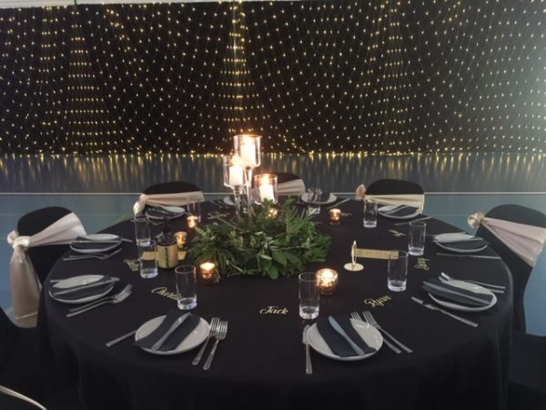 Fairy Net Lights